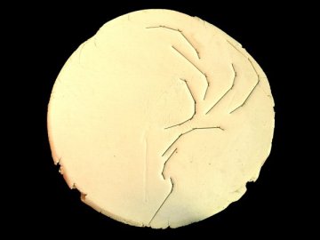 Espais ilimitats XXIV, porcelana, 32x 34 x 2 cm., 2012_w600_h450